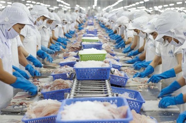 Công ty CP Thủy sản Số 4 thua lỗ nặng nhất sàn chứng khoán trong quý I/2023.
