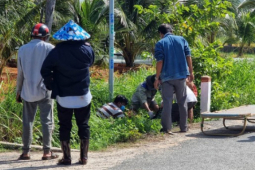 Pháp luật - Điều tra nguyên nhân người đàn ông tử vong dưới mương nước