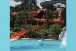 Những khoảnh khắc kinh ngạc trong cuộc sống khiến chúng ta phải trầm...