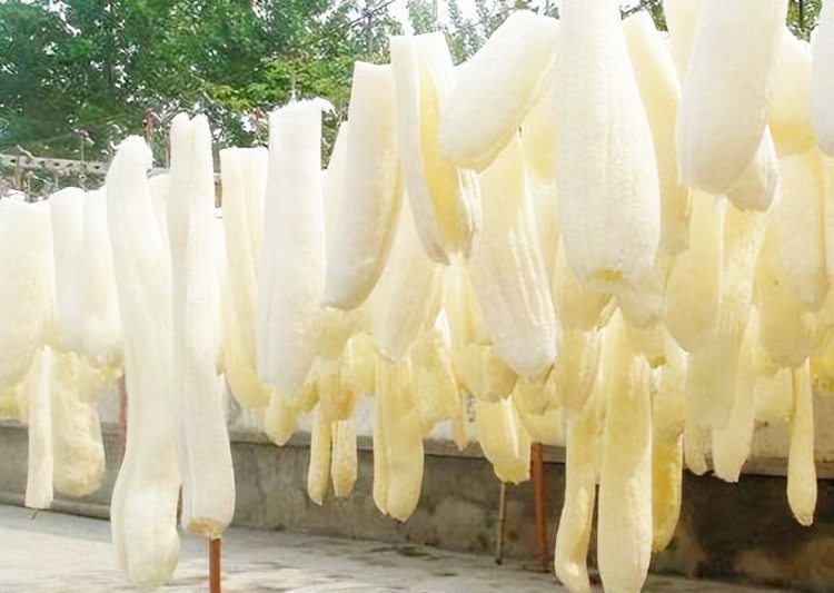 Loại quả rẻ như cho ở Việt Nam bỗng hóa đặc sản ở Trung Quốc - 2