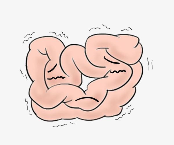 Tăng nhu động ruột gây nên tình trạng đi ngoài nhiều lần