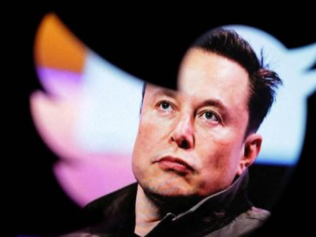 Mở cuộc thăm dò về việc từ chức CEO Twitter, tỉ phú Elon Musk nhận kết quả bất ngờ
