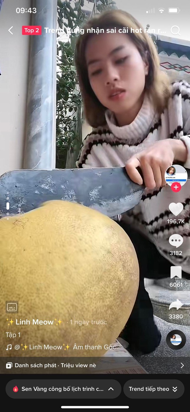 Các clip bắt chước bổ quả