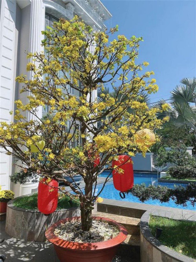 Từng giấu chồng kín bưng nay cuồng chồng ra mặt, Bảo Thy được chiều chuộng ra sao trong căn biệt thự bạc tỷ? - 8