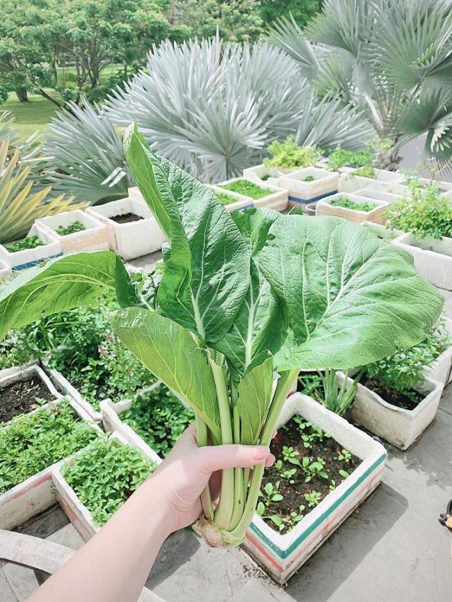 Từng giấu chồng kín bưng nay cuồng chồng ra mặt, Bảo Thy được chiều chuộng ra sao trong căn biệt thự bạc tỷ? - 7