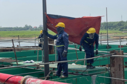 Tin tức trong ngày - Vật lộn trong nắng lửa