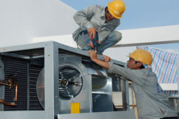 Kinh doanh - Bán điều hòa, điện, nước, một "đại gia" thu về hơn 23 tỷ đồng mỗi ngày