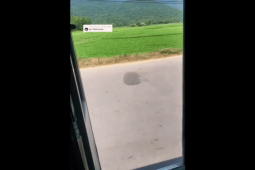 Xe máy - Xe đạp - Clip: Hài hước cô gái dùng "mặt nạ" lá cây để chống lại nắng nóng