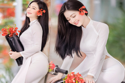 Bạn trẻ - Cuộc sống - "Cô gái mặc áo dài đẹp như Mai Phương Thuý" đẹp ngây ngất bên hoa phượng