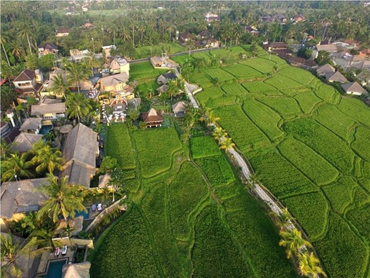 Làng Kutah ở Bali được Indonesia thí điểm phát triển kinh tế ở vùng nông thôn và đến nay đã đạt được kết quả tốt.

