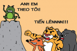 Tranh vui - Quá nắng nóng chú cóc dẫn muôn loài đi tìm... máy lạnh
