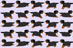 Bạn trẻ - Cuộc sống - Bao nhiêu người giải được 5 bài quiz này trong 30 giây?