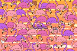 Bạn trẻ - Cuộc sống - 60% người đọc phải bó tay với những câu đố này