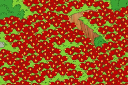 Bạn trẻ - Cuộc sống - Giải được những bài quiz này, bạn có đôi mắt cực tinh tường