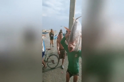 Phi thường - kỳ quặc - Clip: Ngư dân bắt được cá mặt trăng "khủng" nặng 30kg cực quý hiếm