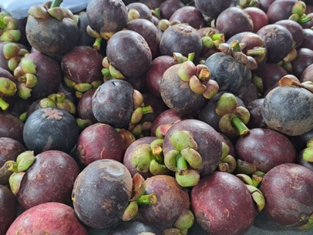 Sức khỏe đời sống - Vì sao măng cụt được coi là nữ hoàng trái cây?
