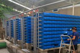 Thị trường - Tiêu dùng - 9x Thanh Hóa thu hàng trăm triệu/năm nhờ nuôi con vật này trong hộp nhựa