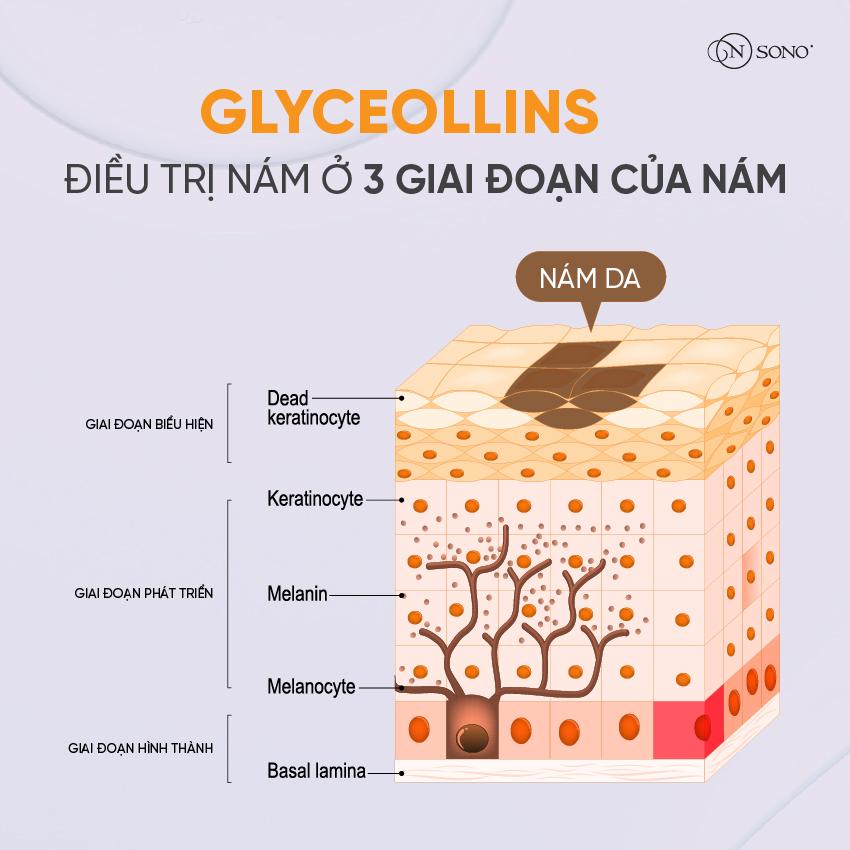 Glyceollins “tiêu diệt” nám ở cả 3 giai đoạn: giai đoạn khởi phát, giai đoạn phát triển và giai đoạn biểu hiện.
