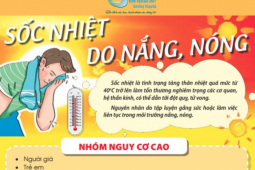 Sức khỏe đời sống - Dấu hiệu say nắng, say nóng hoặc đột quỵ do nóng, cách xử trí và phòng ngừa