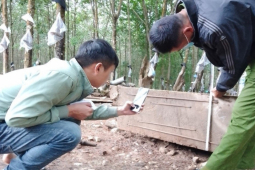 Tin tức trong ngày - Gay cấn việc xác lập "quyền sở hữu toàn dân" với khúc gỗ dân đào dưới lòng đất