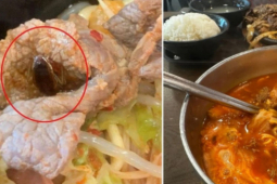 Cô gái tá hỏa khi phát hiện con gián trong bát canh ở trung tâm thương mại