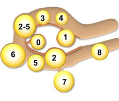 U xơ tử cung và giải pháp cải thiện an toàn từ thảo dược - 1