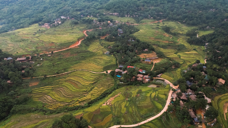 Uống ly cà phê, thảnh thơi ngắm mùa vàng Pù Luông - 4