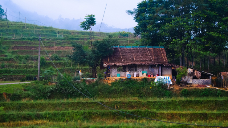 Uống ly cà phê, thảnh thơi ngắm mùa vàng Pù Luông - 7