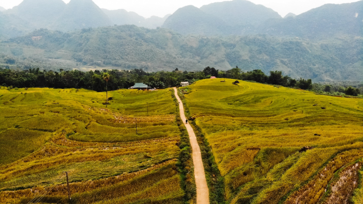 Uống ly cà phê, thảnh thơi ngắm mùa vàng Pù Luông - 9