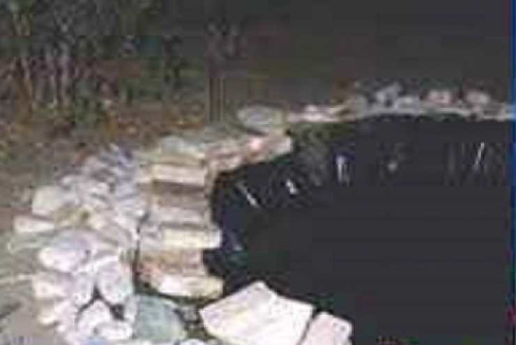 Bí ẩn vụ án nữ tiếp viên hàng không chết ở hồ cá koi: Vụ tai nạn khó hiểu