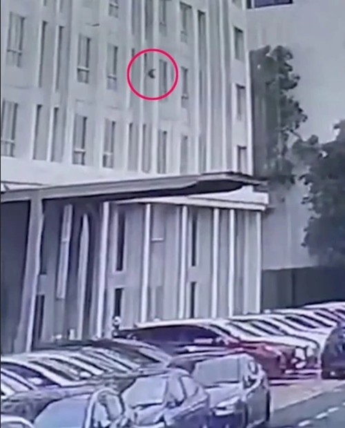 Hình ảnh từ camera quan sát cho thấy chú mèo (khoanh đỏ) rơi từ tầng 6 xuống. Ảnh: ViralPress.