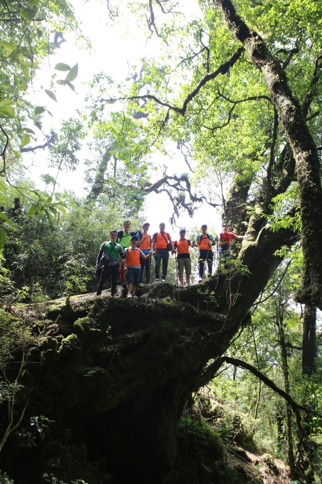 Lai Châu – điểm đến “hot hit” của dân mê trekking - 2