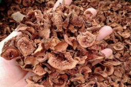 Thị trường - Tiêu dùng - Loại quả ở quê có thể xin miễn phí, lên thành phố giá bán đến 200.000 đồng/kg