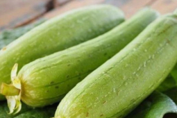 Ẩm thực - Loại quả rẻ bèo bán đầy chợ ở Việt Nam bỗng trở thành "hàng hot" ở nước ngoài