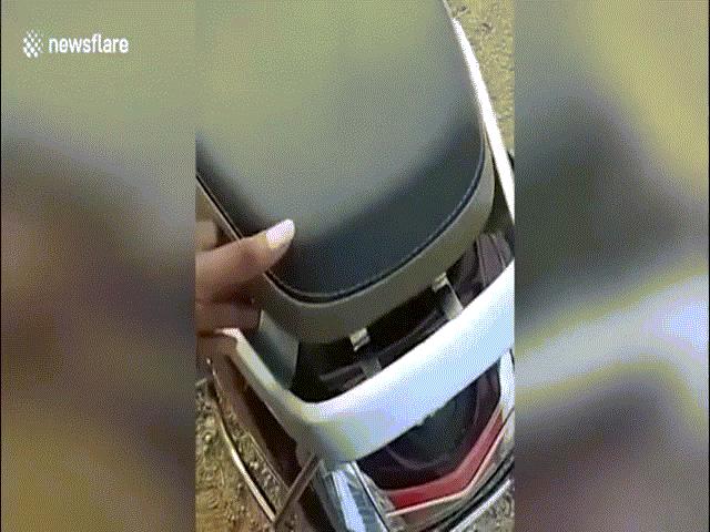 Video: Hoảng hồn cảnh 3 con rắn hổ mang kịch độc ngóc đầu từ cốp xe tấn công người