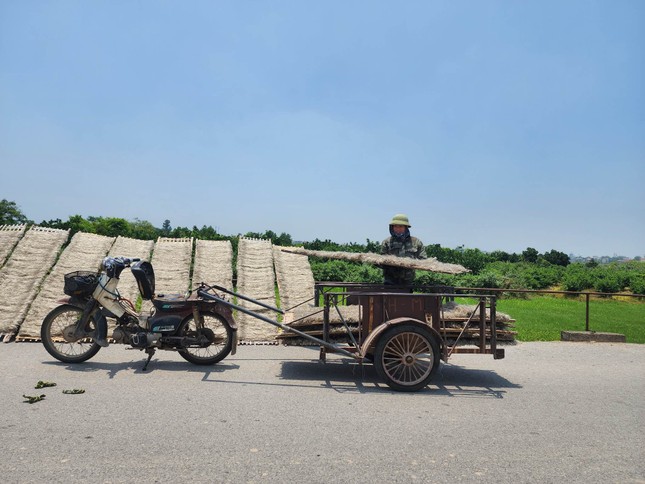 Hiện nay, nghề làm miến dong đã góp phần giải quyết quyết việc làm cho hàng ngàn người dân trong xã. Không những thế, còn tạo việc làm cho lao động từ các nơi khác đến với thu nhập trung bình 10 triệu đồng/tháng.