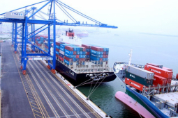 Kinh doanh - Một cổ phiếu gây bất ngờ với mức tăng sốc gần 450% chỉ trong 1 tháng