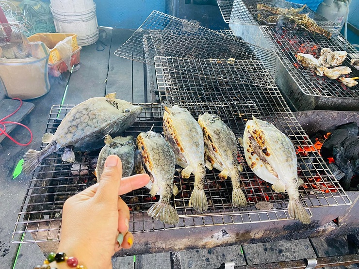 Chúng có vẻ bề ngoài vuông như cái hộp, lớp da bên ngoài dày và được liên kết từ những khối lục giác cứng chắc, trên bề mặt da có những đốm nhỏ màu nâu.
