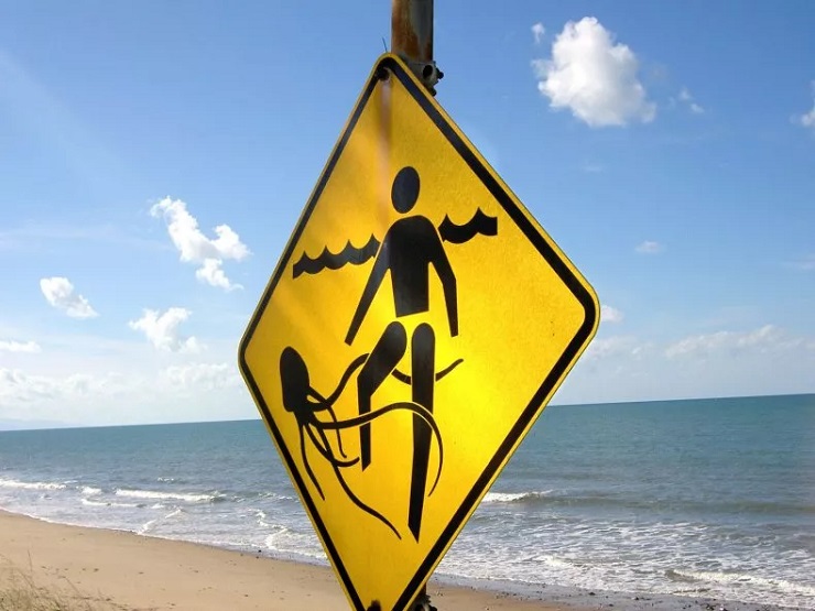 Biển cảnh báo nguy cơ sứa tấn công tại một bãi biển ở Úc.