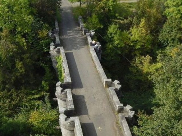 Phi thường - kỳ quặc - Bí ẩn cây cầu khiến hàng trăm chú chó "tự tử" ở Scotland