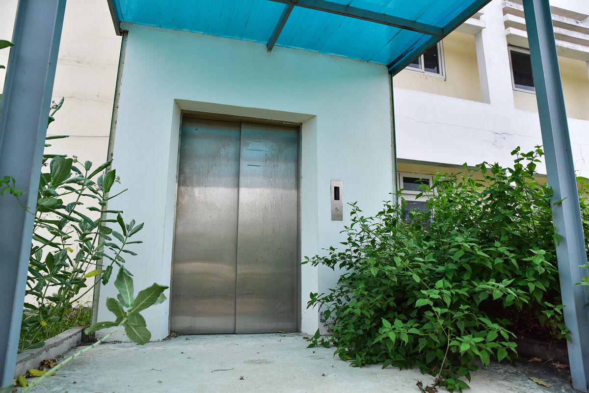 Thang máy lên toà nhà nằm phía ngoài cây cối mọc um tùm, dần che khuất hạng mục này.