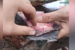 Kinh doanh - Đang phân loại rác, người phụ nữ tìm thấy "núi tiền" trong két sắt hoen gỉ