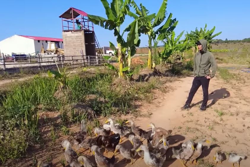 Quang Linh Vlog hé lộ giá &#34;sốc&#34; loài ở Việt Nam bán đầy chợ, tại Angola giàu mới dám ăn - 1