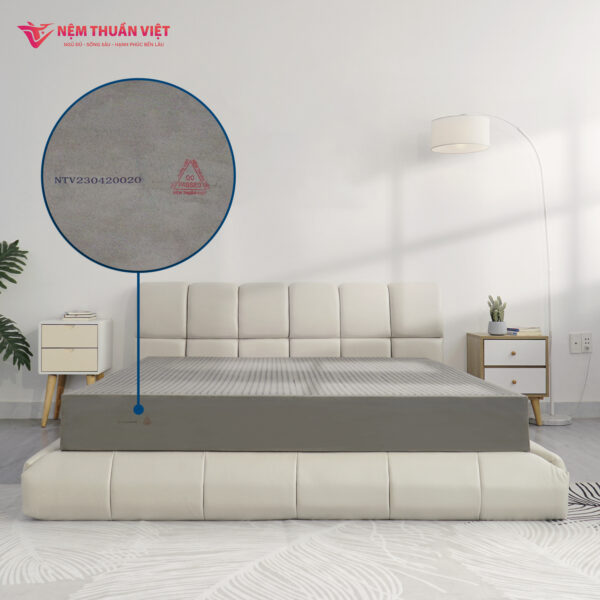 Độ đàn hồi nâng đỡ nệm vững chắc cùng tinh chất than kháng khuẩn