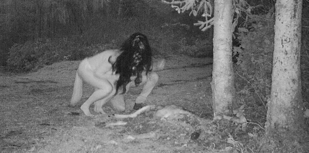 Canada: Đặt camera theo dõi xác nai qua đêm, thấy cảnh đáng sợ - 2