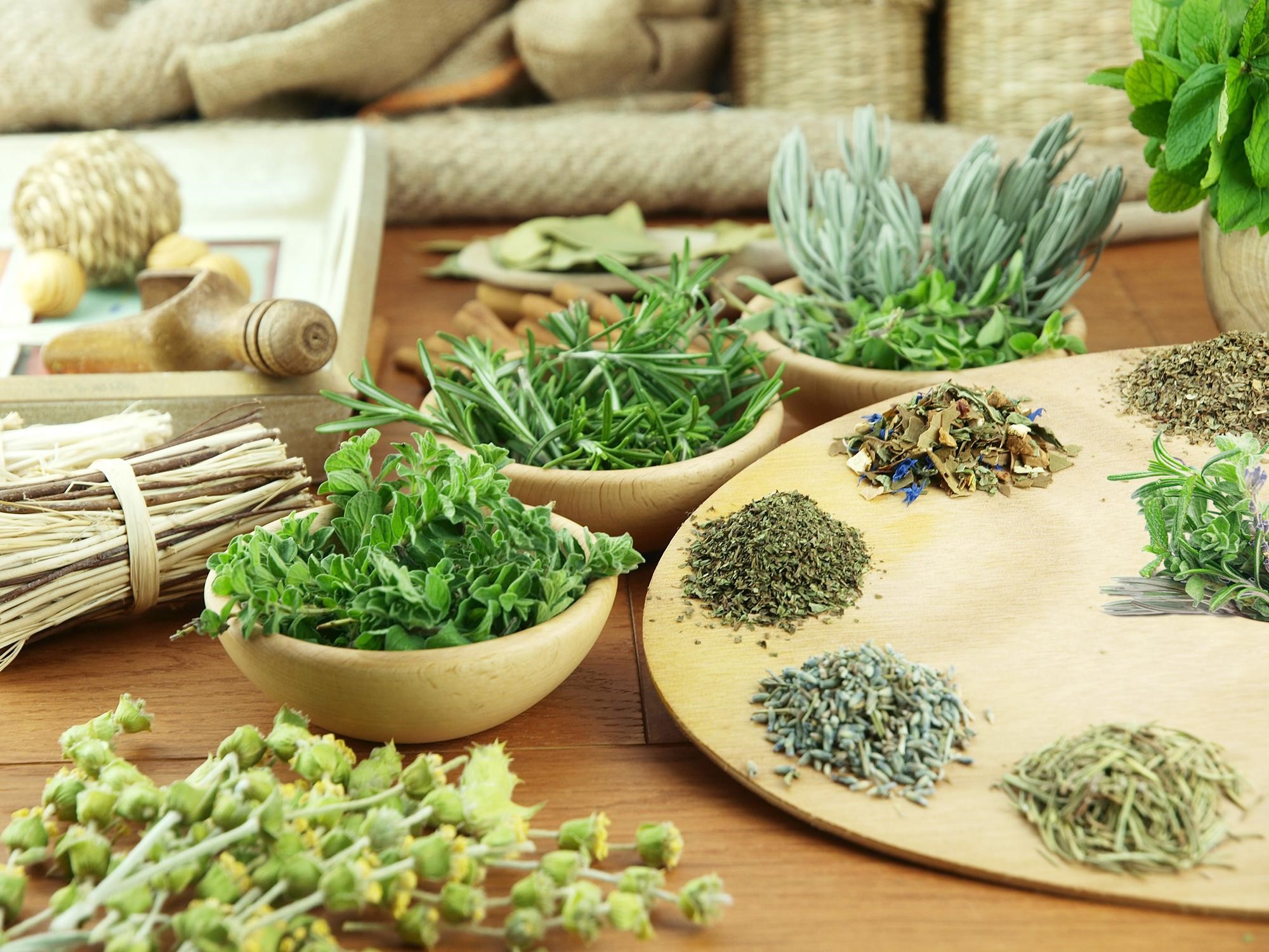 Elepharma và bước chuyển mình tiếp cận lĩnh vực làm đẹp - 1