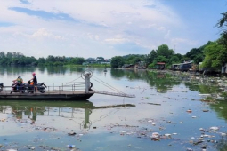 Tin tức trong ngày - Video: Sau cơn mưa, rác ngập sông Đồng Nai