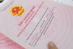 Pháp luật - Truy tố "Tâm Bóng" và 21 bị can lừa đảo đánh tráo giấy đất khắp các tỉnh ĐBSCL