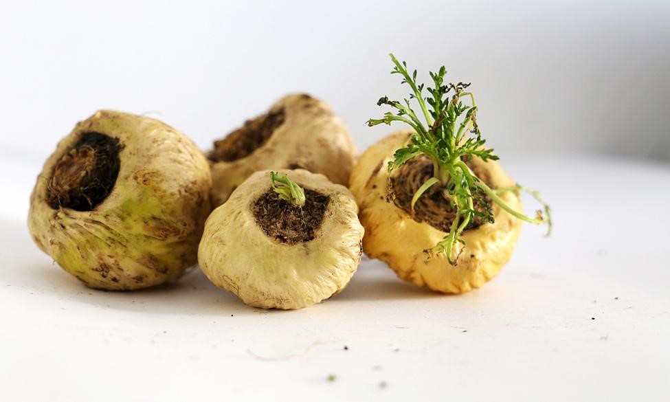 Bí mật giúp nam giới sung mãn, chữa rối loạn cương dương - 2