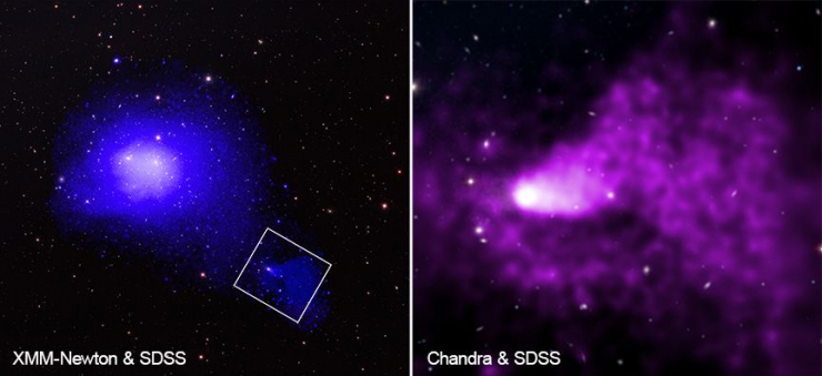 Hình ảnh rực rỡ về "quái vật" Coma được quan sát bởi Kính viễn vọng XMM-Newton của Cơ quan Vũ trụ châu Âu (ESA) và Chandra của NASA - Ảnh: ESA/NASA
